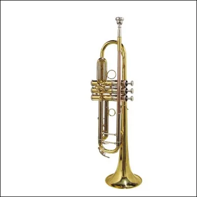 Quel est cet instrument ?