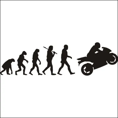 Quelle espèce est la dernière à s'éteindre ?