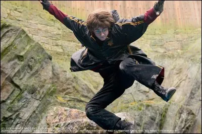 "Harry Potter" est une saga de 7 films...