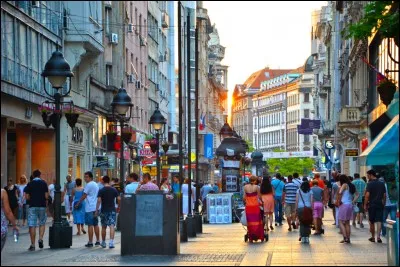 Cette ville de l'Europe danubienne, capitale de la Serbie, c'est :