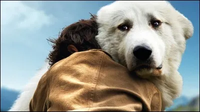 Qui est le réalisateur du film de 1952, "Monsieur Taxi" ?