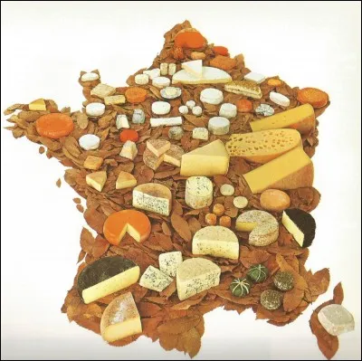 Quel mot correspond à la collection d'étiquettes de fromage ?