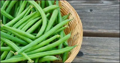 Quel est son nom latin ?