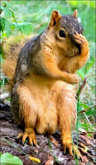 ''Je pense, donc je suis.'' À qui devons-nous cette célèbre citation ?