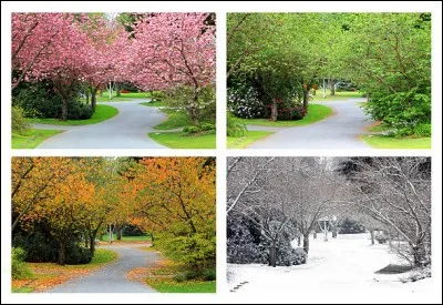 ''Les Quatre Saisons'' de Vivaldi - Quelle saison correspond au concerto N° 4 ? Lien pour clip !