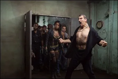 Année : 2014
Genre : Action 
Acteurs : Paul Walker, David Belle
Indices : Arts martiaux/Destruction/Trémaine/Lino.
Quel est ce film ?