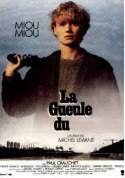Quel est ce film ?