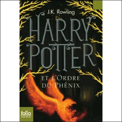 Pourquoi Harry a-t-il une heure de colle dans le tome 5 ?