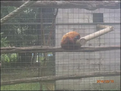Ce n'est pas aux vieux que l'on apprend à faire des grimaces !