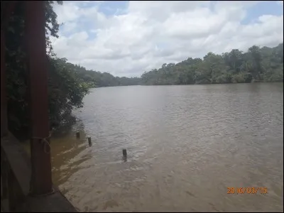 Par dessus l'étang, soudain j'ai vu, passer les ... sauvages !