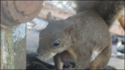 Ce mot a de la caisse !