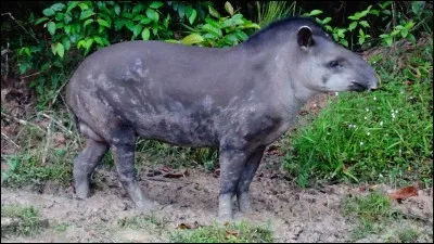 Trouver ce mot vous évitera de faire une erreur !