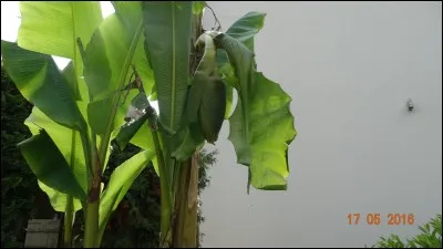 Trouver ce mot fera de vous un rocker … ou une rockeuse !