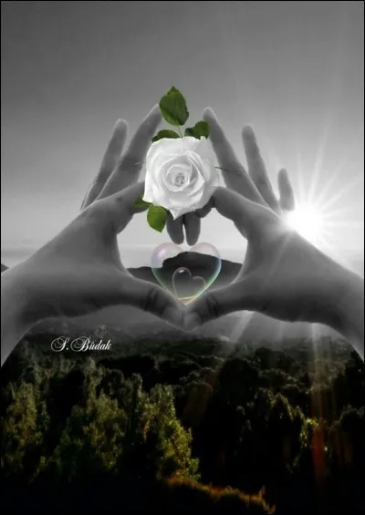 Et enfin qui chantait "Faire avec toi le plus beau le plus long voyage..." ?