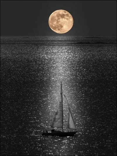 Comment voyage Alain Bashung dans le titre d'une chanson qu'il a reprise dans son album "Bleu Pétrole" ?