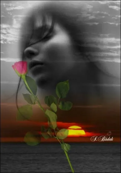 Qui chantait "Voyage Voyage" ?