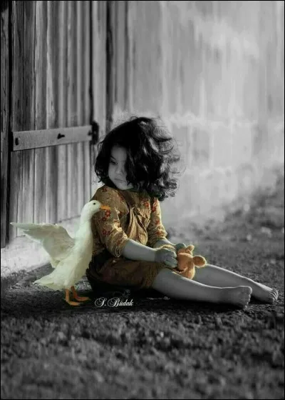 Quel est le livre de Selma Lagerlöf, et inspirez-vous de l'image ?