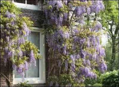 Que voyez-vous sur cette image ?