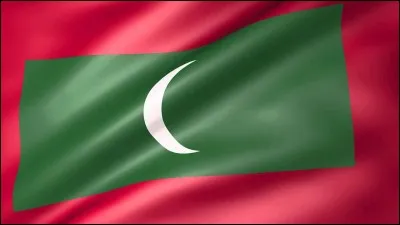 Comment est appelée la ligne rouge sur ce drapeau ?