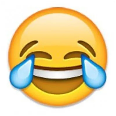 Associe la devise à la bonne personne : une journée sans rires est une journée perdue, alors souriez.