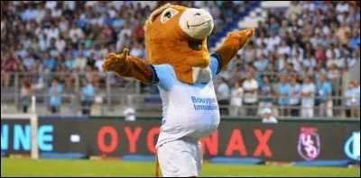 Comment se nomme la mascotte ?