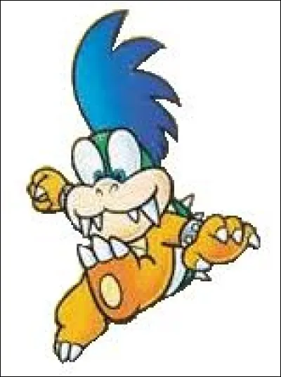 Quel est ce personnage de MK8D ?