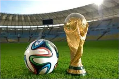 Qui a gagné la Coupe du Monde 2014 ?