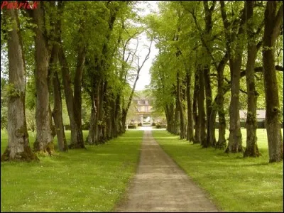 Si je vous dis : « Galerie couverte d'un gymnase », vous répondez :