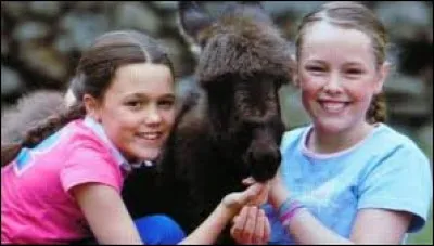 Comment s'appelle cet âne ?