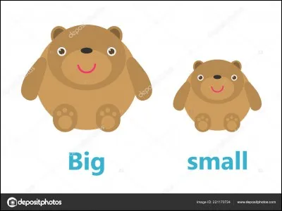 Quelle est ta taille ?