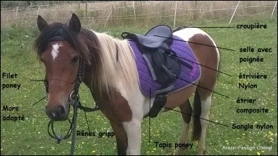 Parmi ces matériels d'équitation, il y en a un qui n'existe pas. Quel est-il ?