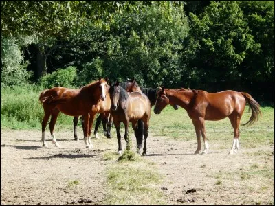 Un intrus fouine-t-il encore dans mon quiz ?