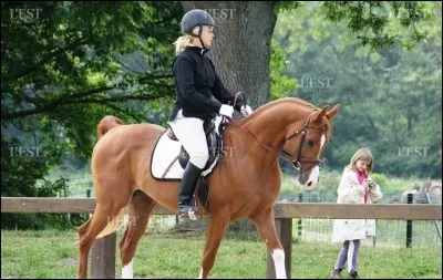 La théorie, ce n'est pas si simple ! Par contre, un cheval serait bien offensé s'il voyait l'intrus de cette liste.
