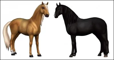 Comment s'appelle cette race ? ☝🏽☝🏽☝🏽☝🏽