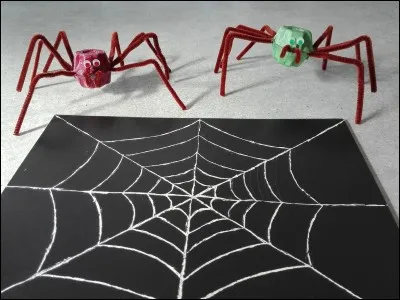 On avale 3 araignées par an pendant notre sommeil :