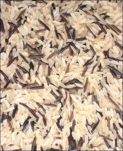 Quelle est l'origine du riz ?