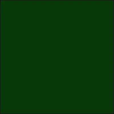 Quelle activité préfères-tu ?