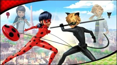 Comment Ladybug et Chat Noir détruisent-ils l'objet akumatisé ?
