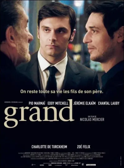 Quel est ce film avec Eddy Mitchell ?