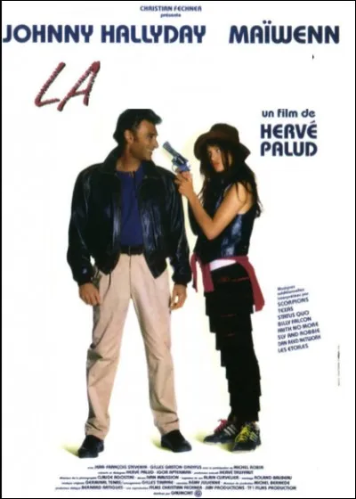 Quel est ce film avec Johnny Hallyday ?