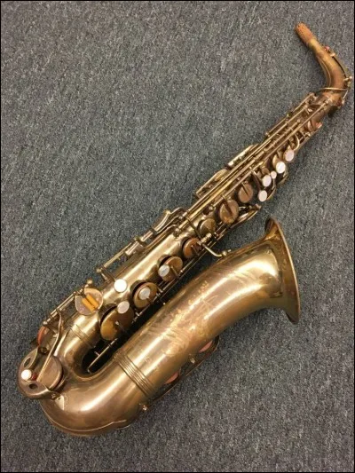 Lui, ou elle, nous interprète : Billie Nettoie son Saxophone !