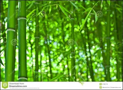 Je me sens une légère fatigue, j'ai donc décidé de vous laisser vous débrouiller avec la photo !