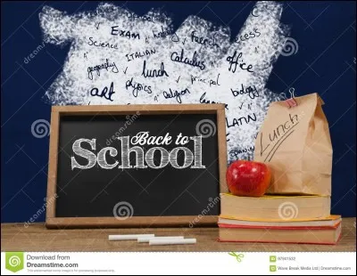 Quelle est ta matière préférée ?