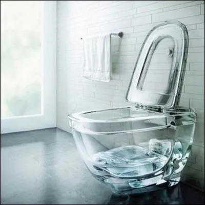 Dans la série "pourquoi ne pas l'inventer", voici les toilettes transparentes ! Evidemment, c'est pratique pour... ?
