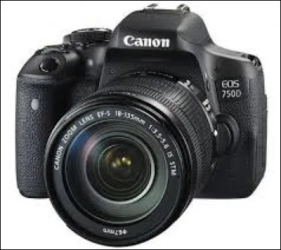 Parmi ces photos, laquelle préférez-vous ?