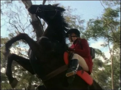 Ce cheval est Belle.