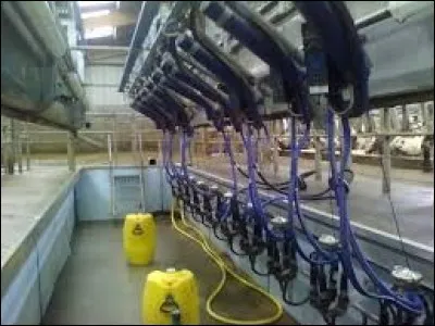 C'est une salle de traite de...