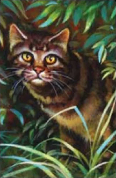 Tu es chaton et tu es d&eacute;figur&eacute; ou tu as un handicap. On se moque de toi. Tu :