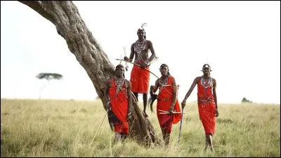 Dans quel pays se situe la réserve nationale de Maasai Mara, célèbre pour sa population de lions et de panthères ?