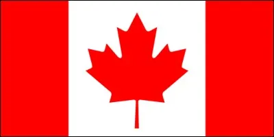 Dans quelle capitale verrez-vous ce drapeau ?